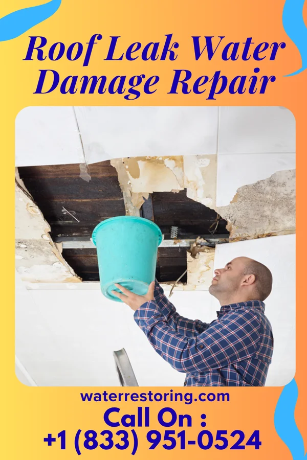 Roof Leak Water Damage Repair in Verona, ND